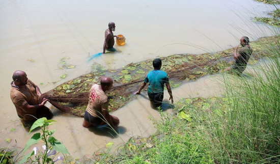 माछापालनबाट मनग्य आम्दानी